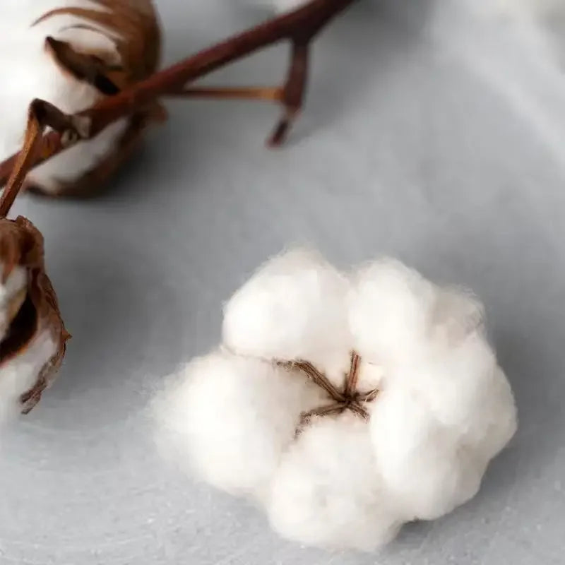 T-shirt Werenoi "Carré"